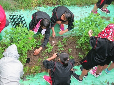 （昭和台公園）