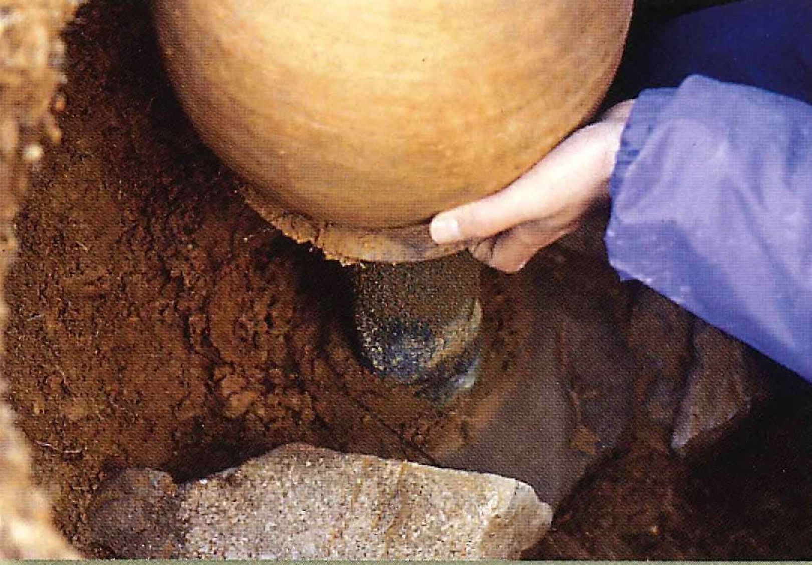 甕（かめ）・経筒出土状況