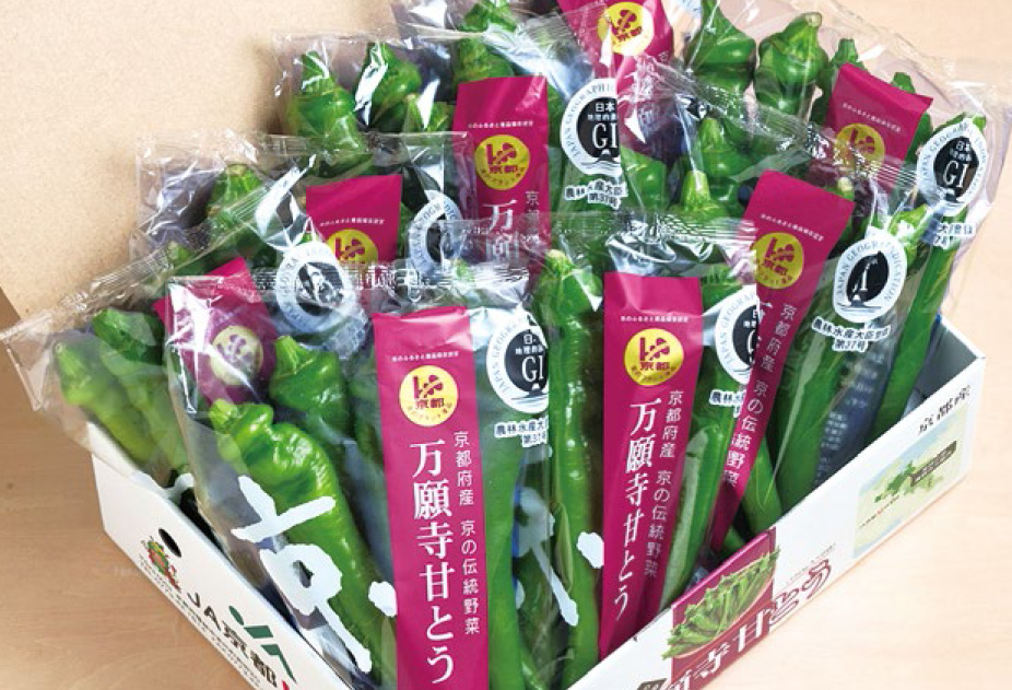 広報アンケート　応募はこちら